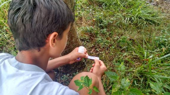 Pelotão Mirim desenvolve atividade especial no parque de exposições - foto 4