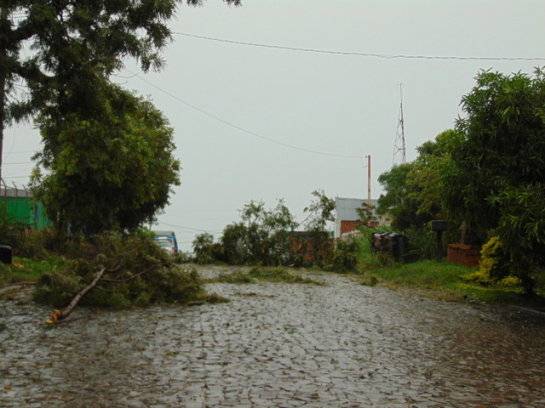 Temporal causou danos em São Francisco de Assis - foto 5