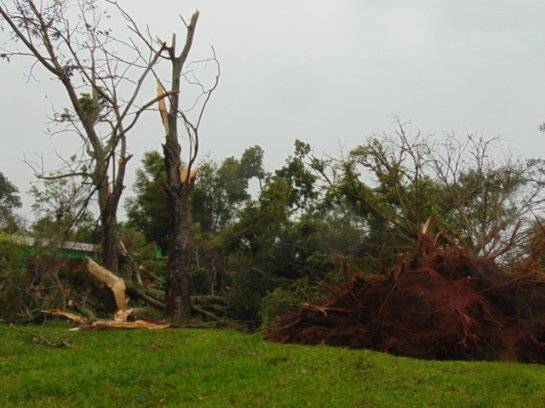 Temporal causou danos em São Francisco de Assis - foto 6