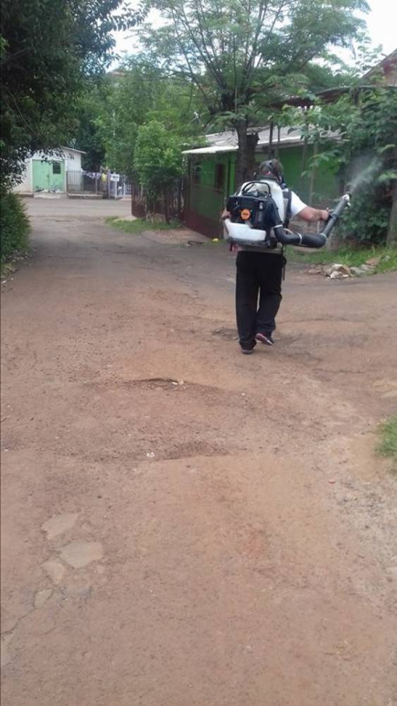 Laboratório Lacen confirma mais três casos de dengue em Santo Ângelo - foto 4