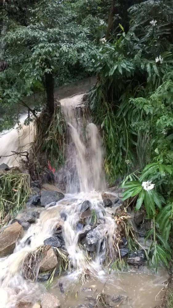 Chuvarada causa deslizamentos e interdita vias em Balneário Camboriú - foto 2
