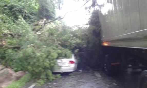 Chuvarada causa deslizamentos e interdita vias em Balneário Camboriú - foto 4