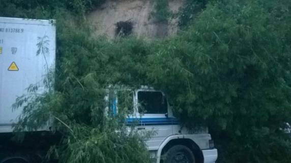 Queda de barreira no morro do Boi atrapalha trânsito na BR 101 - foto 7