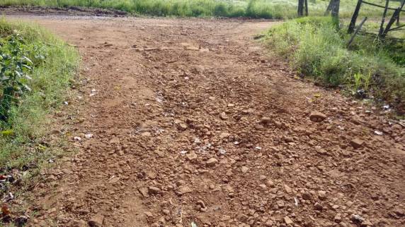 Munícipes de Alegria reclamam de situação das estradas no interior - foto 5