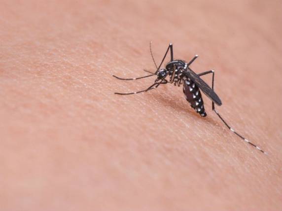 Número de casos confirmados de dengue em SC passa dos 3 

mil - foto 2