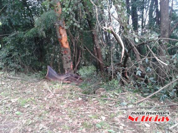 Acidente aconteceu durante a madrugada