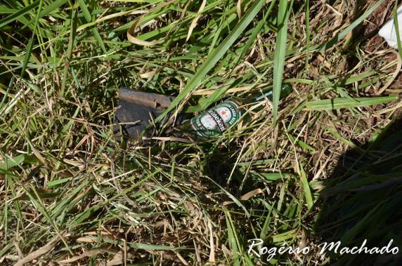 Jovem de 18 anos capota veículo na BR-386 em Sarandi - foto 2