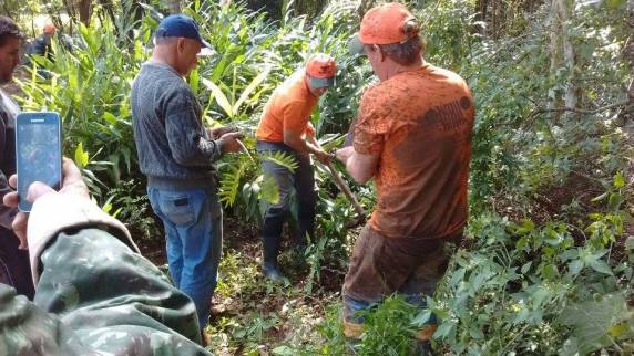 Grupo de jipeiros “Knatsch Klub” desenvolve projetos sociais e ambientais em SJI - foto 3