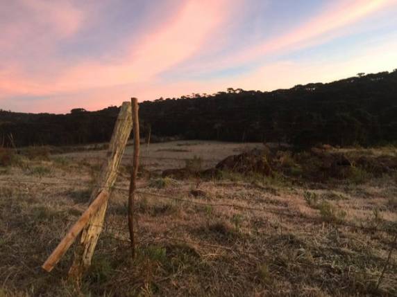 Urupema
registra a temperatura mais baixa de 2016 em Santa Catarina - foto 3