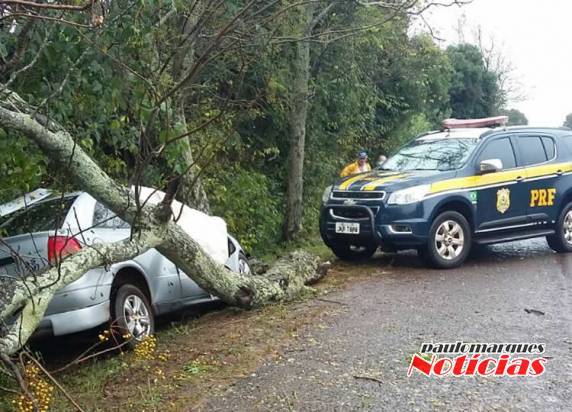 Acidente com vítima fatal na BR-468 em Campo Novo - foto 3