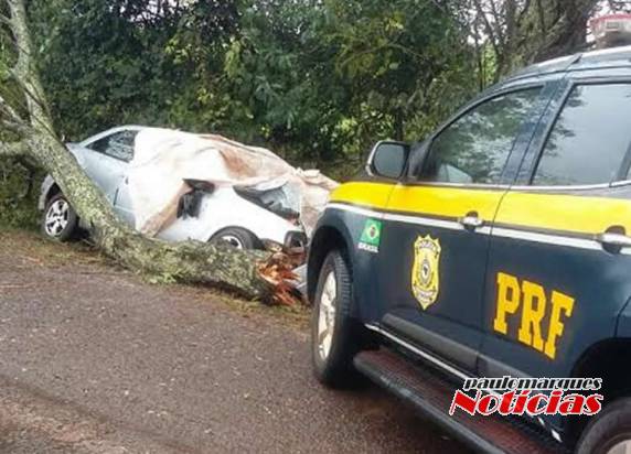 Acidente com vítima fatal na BR-468 em Campo Novo - foto 4