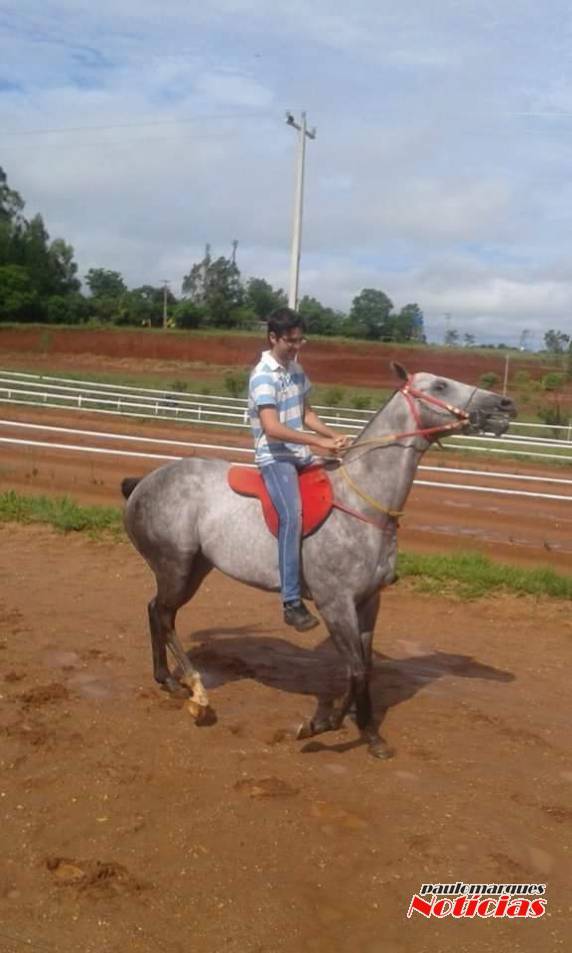 Casos do Mormo em cavalos vem mobilizando criadores em diferentes regiões do Estado RS - foto 2