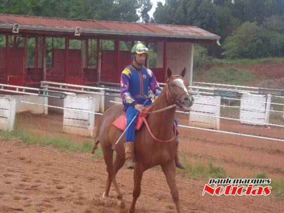 Casos do Mormo em cavalos vem mobilizando criadores em diferentes regiões do Estado RS - foto 4