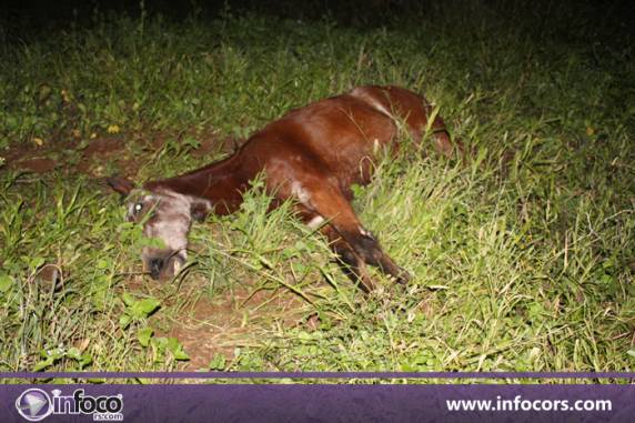 Grave acidente na RS-323 entre Rodeio Bonito e Pinhal - foto 2
