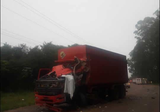 Colisão entre ônibus e caminhão deixa 

três mortos em Guaíba - foto 2