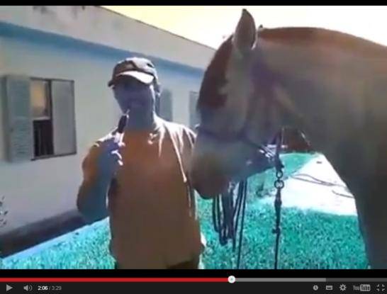 Proprietário do animal divulgou vídeo na internet em que aparece bebendo o sangue do animal