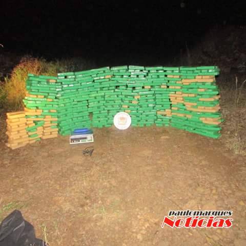 Jovem é preso com meia tonelada de maconha - foto 4