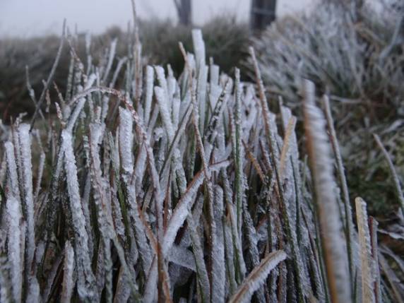 Urupema tem sensação térmica de -20ºC; frio atinge três regiões do país - foto 3