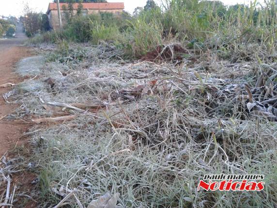 Frio ganha força em Três de Maio - foto 2