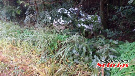 Veículo sai da pista e bate em árvores na RS-344 em Santa Rosa - foto 2