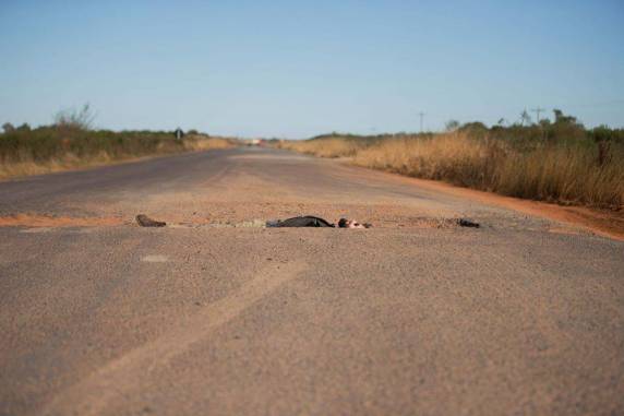 Fotógrafo faz registro inusitado da situação de uma rodovia gaúcha - foto 5