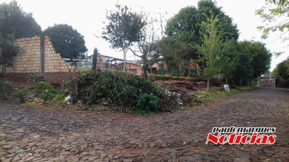 Moradores do bairro Pró Morar pedem providências com muro da creche que caiu - foto 4