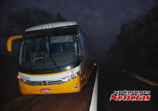 Caminhoneiro foge depois de bater caminhão em ônibus com funcionários da Lactalis; VEJA VÍDEO - foto 2