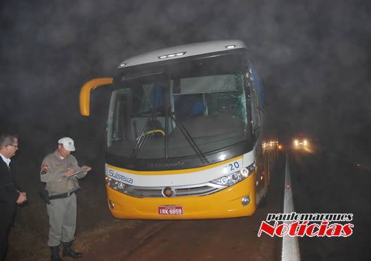 Caminhoneiro foge depois de bater caminhão em ônibus com funcionários da Lactalis; VEJA VÍDEO - foto 3