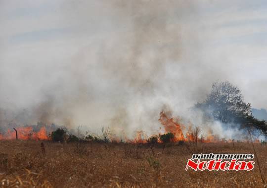 VÍDEO: Bombeiros combatem incêndio de grandes proporções no bairro Guaíra - foto 2