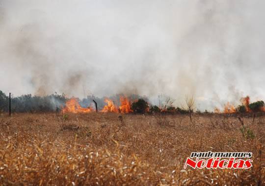 VÍDEO: Bombeiros combatem incêndio de grandes proporções no bairro Guaíra - foto 3