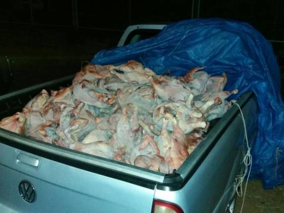 Carga seria embalada e revendida em Chapecó, 

no Oeste de SC