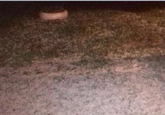 Em Peritiba, o granizo ficou sobre gramados e o 

asfalto após chuva