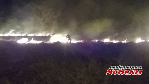 Bombeiros combatem incêndio em vegetação novamente no bairro Guaíra; VEJA VÍDEO - foto 3