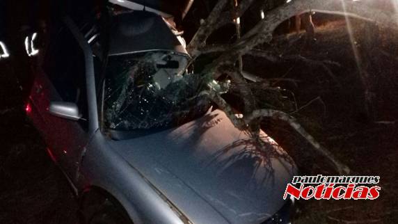 Veículo sai da pista bate
em árvore e deixa uma jovem ferida na RS-155 em Santo Augusto - foto 3