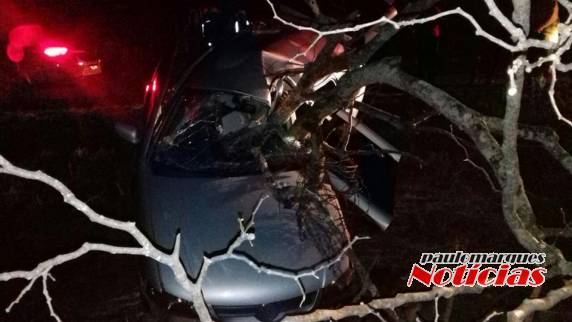 Veículo sai da pista bate
em árvore e deixa uma jovem ferida na RS-155 em Santo Augusto - foto 4