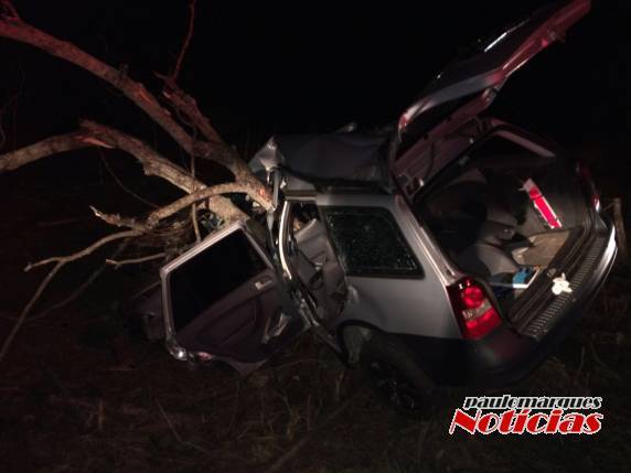 Veículo sai da pista bate
em árvore e deixa uma jovem ferida na RS-155 em Santo Augusto - foto 5