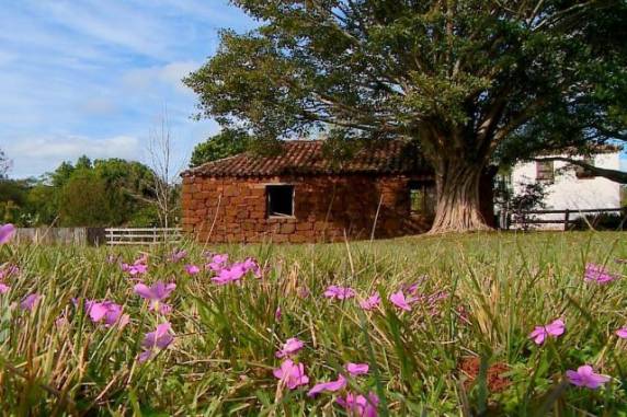 Cidade de cerca de 7 mil habitantes fica a 500 quilômetros de Porto 

Alegre