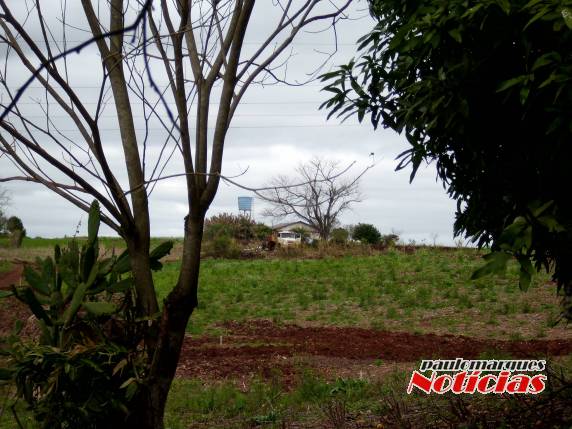 Lixão em área de escola desativada motiva denúncia em Independência - foto 2
