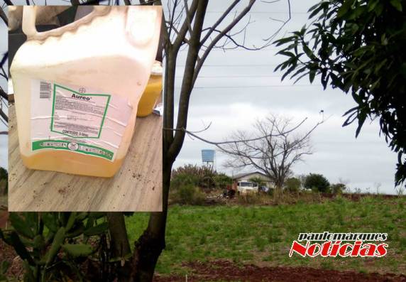 Embalagens vazias de agrotóxicos são depositadas em local inadequado