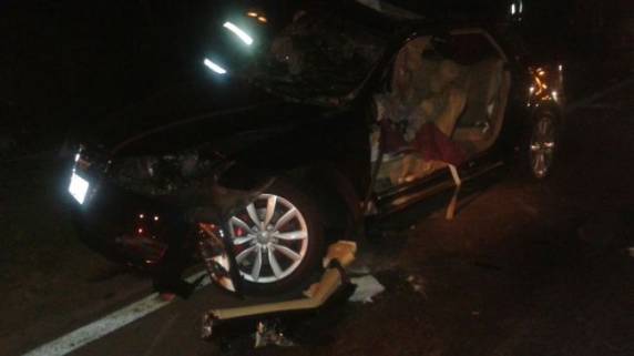 Acidente deixa dois mortos na RSC 287 - foto 4
