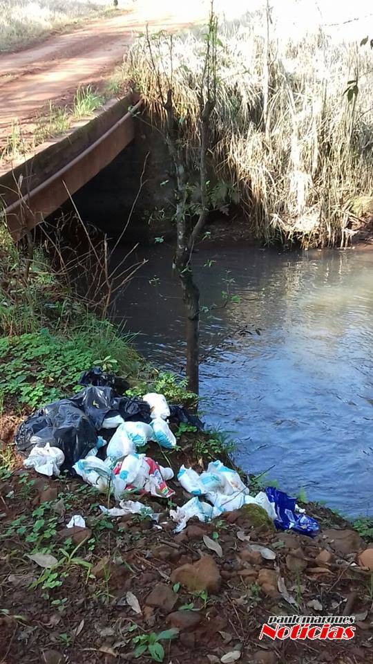 Moradores do interior de Alegria denunciam descarte de lixo na 

barranca de um rio - foto 3