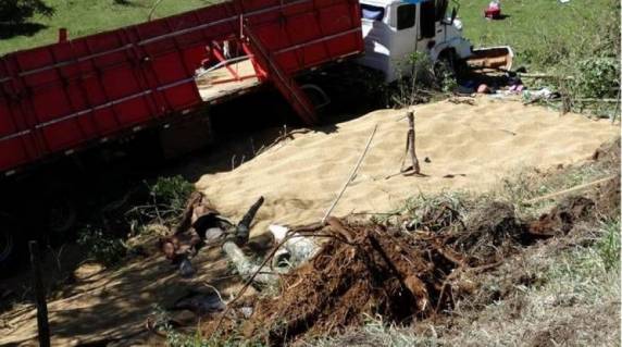 Homem natural de Alegria morre atropelado por uma carreta enquanto trabalhava no Paraná - foto 2