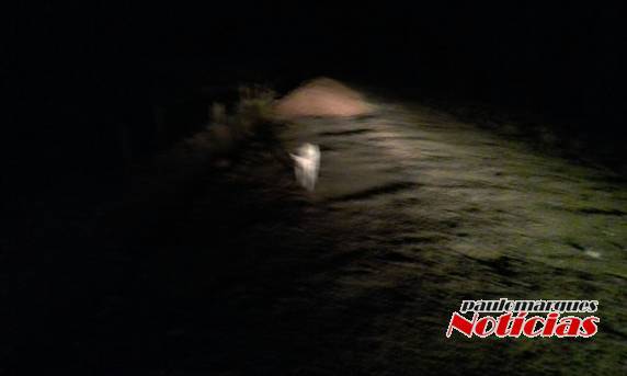 Motociclista fica ferido
depois de atingir um monte de cascalhos em estrada de Alegria - foto 2