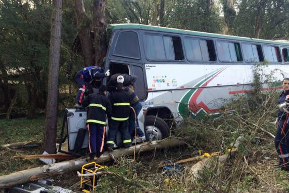 José Francisco Pereira da Silva, 56 anos, era passageiro do ônibus que saiu da pista e colidiu em árvores na BR-386