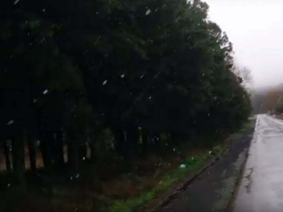 Localidade de Cruzeiro, em São Joaquim, teve queda de flocos