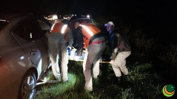 Animal solto na pista resulta em colisão com morte na BR-285 - foto 2
