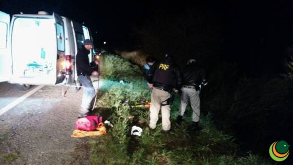 Animal solto na pista resulta em colisão com morte na BR-285 - foto 4