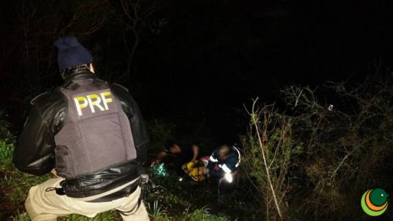 Animal solto na pista resulta em colisão com morte na BR-285 - foto 3