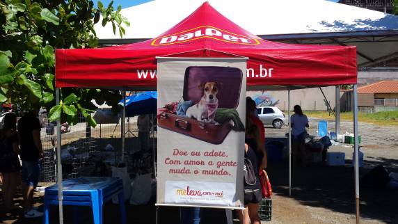 A campanha realizada no Sul do país contou com votação popular pela rede social