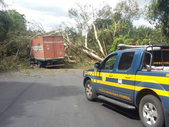 Acidente foi no km 205 da BR-470, no início da tarde desta terça (6)